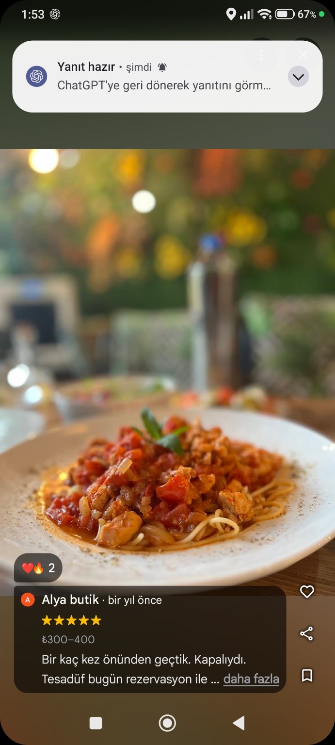 Turkish dish